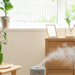 Saubere Luft, freier Atem – wie ein gutes Raumklima Allergien wirklich erleichtert Gute Luftqualität - freier Atem