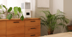 Gute Luftqualität - freier Atem