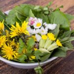 Design ohne Titel (1)